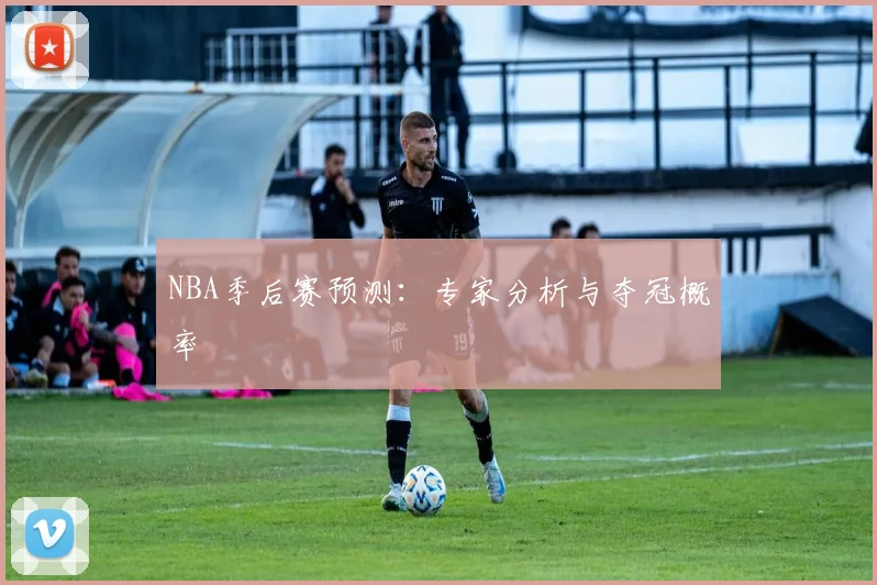 NBA季后赛预测:专家分析与夺冠概率